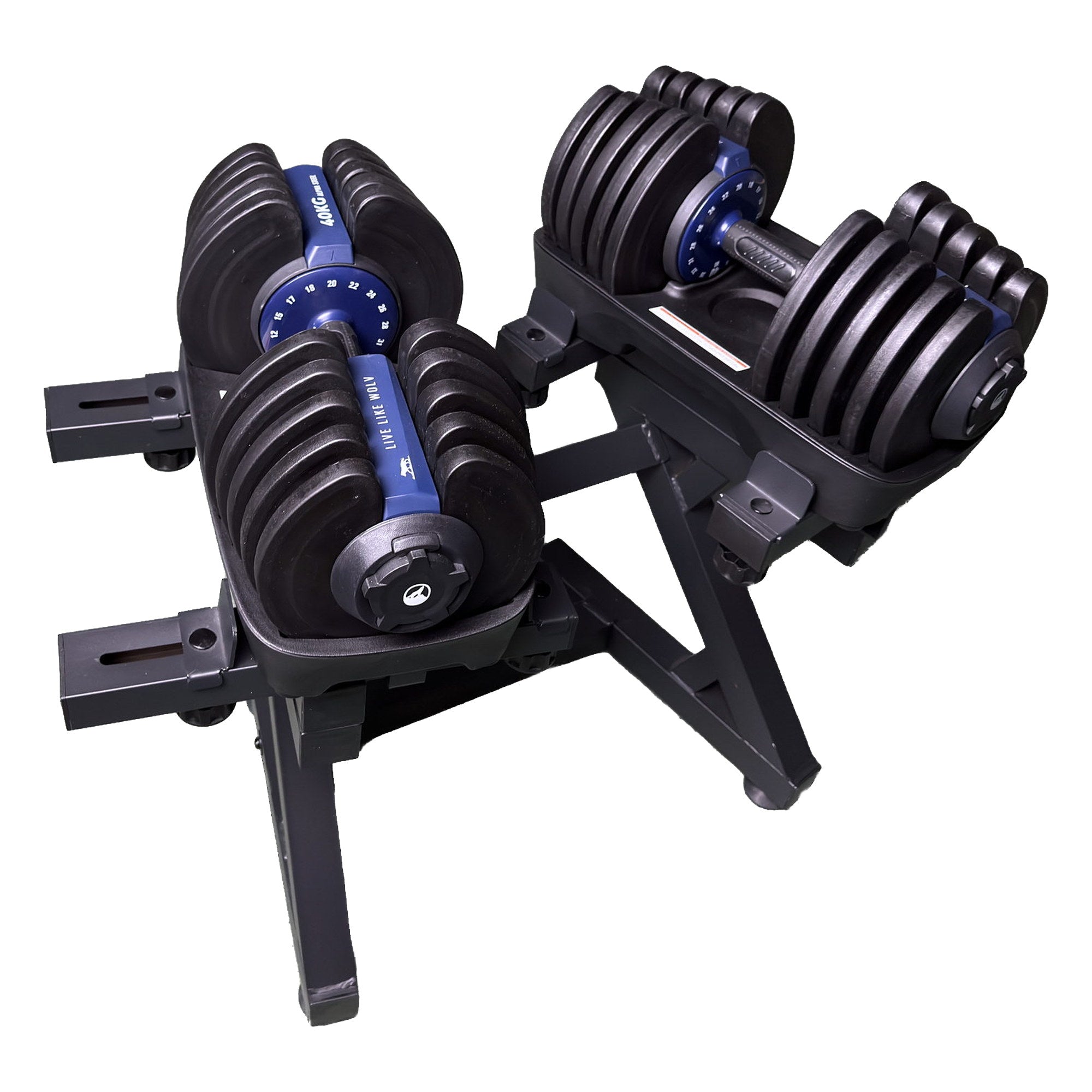 VERSTELBARE HALTER 40KG SET - VAN 2 + HALTERREK
