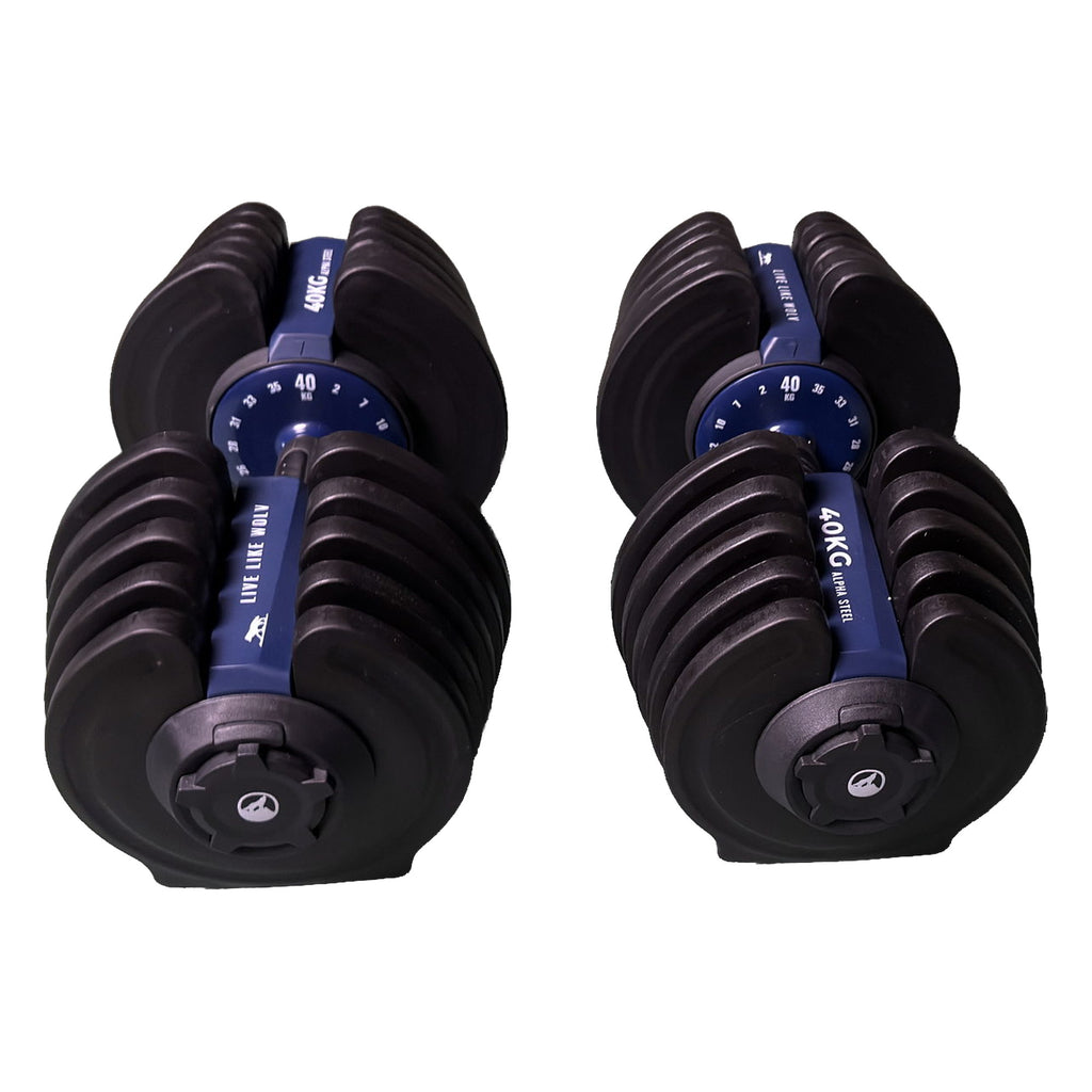 Pair of WOLV 40 kg adjustable dumbbells angled toward their weight dials, both set to 40 kg